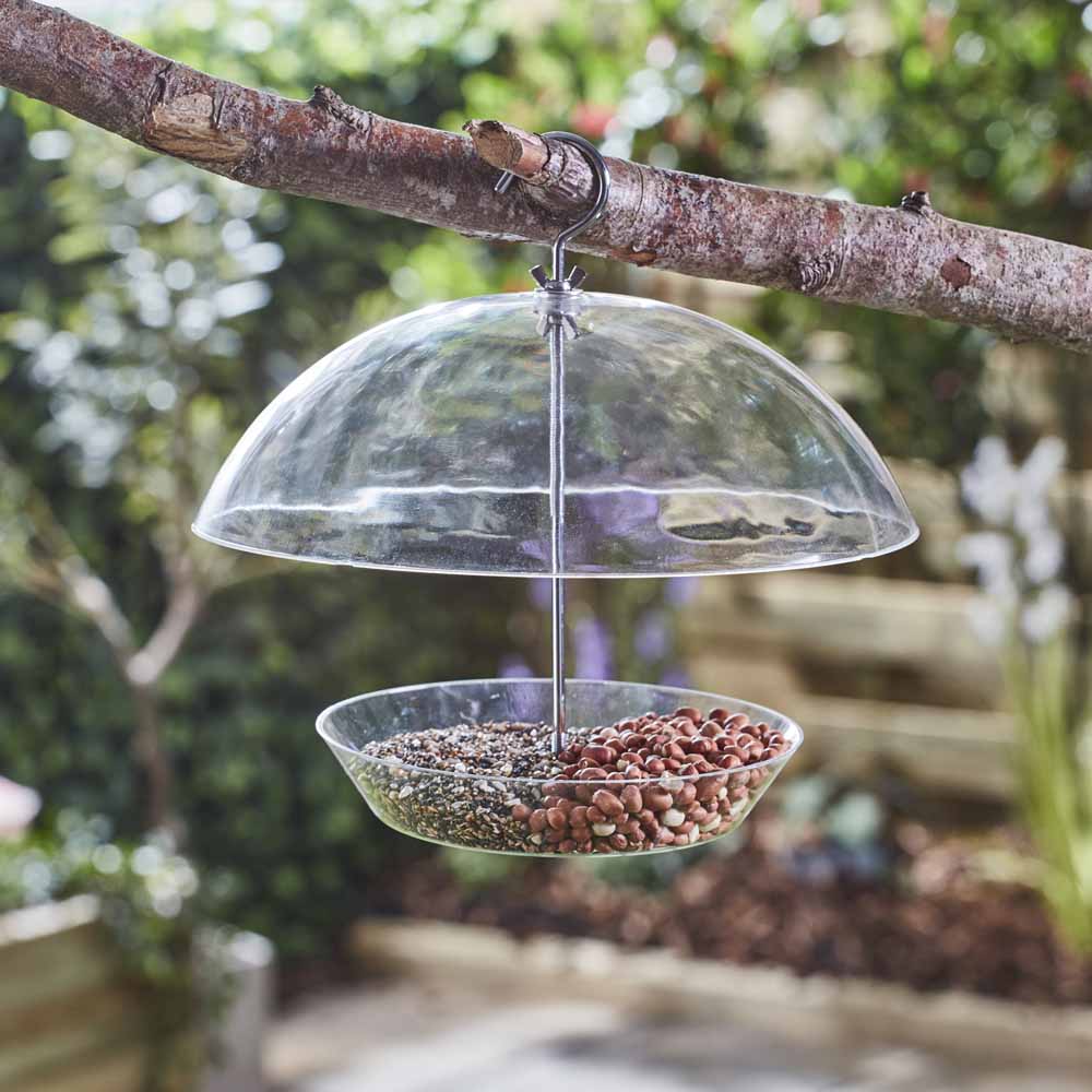 Happy Beaks Squirrel Proof Domed Bird Feeder